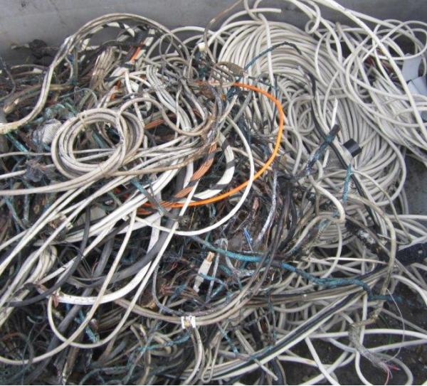 S�k�m ��leri